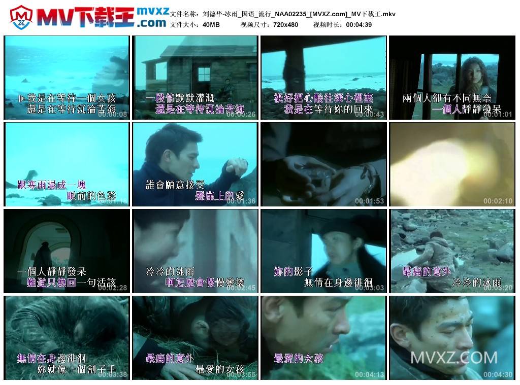 刘德华-冰雨_国语_流行_NAA02235